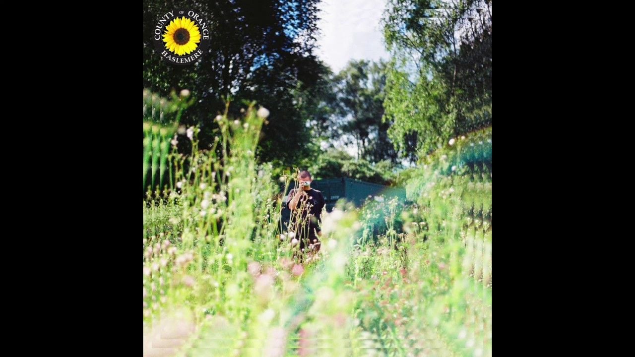 Rex Orange County - Sunflower (Official Audio)